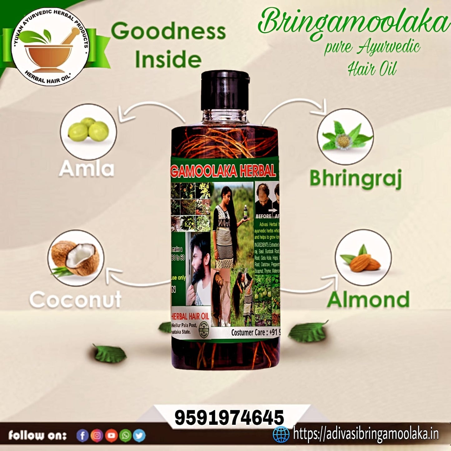 🔻500 ML  Adivasi Bringamoolaka  Herbal Hair Oil🌿